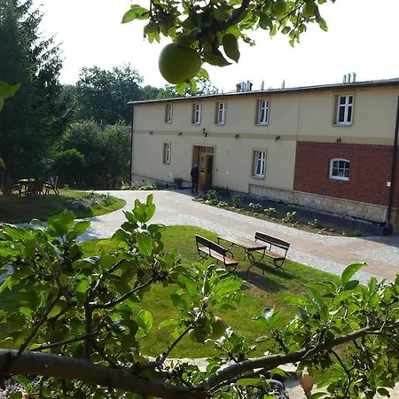 Nocleg ze śniadaniem Dom Gościnny Brama Sudecka *